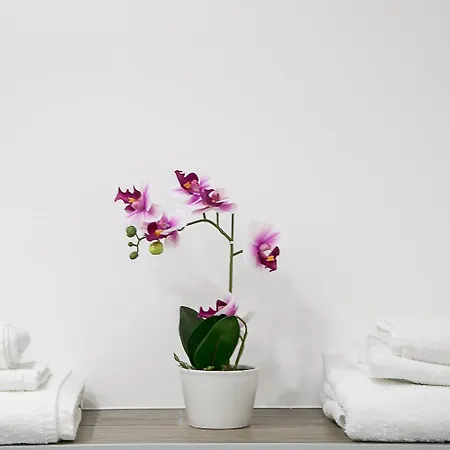 Casa Sollai Дом отдыха Монсеррато